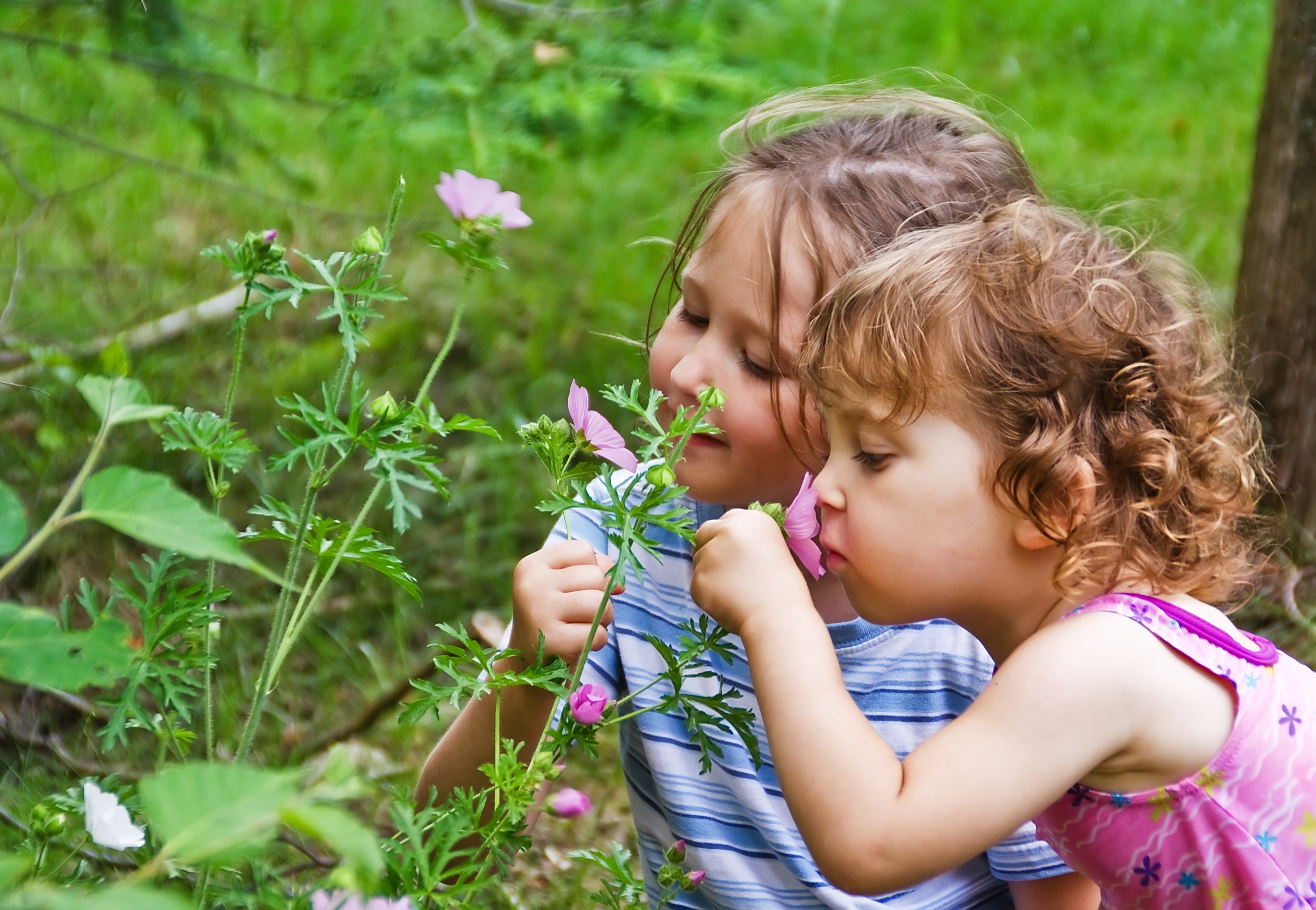 petite enfance