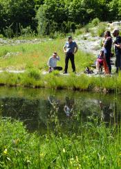 Jardin alpin : visite à l'heure du changement climatique
