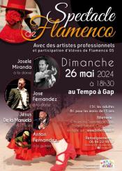 Spectacle de Flamenco
