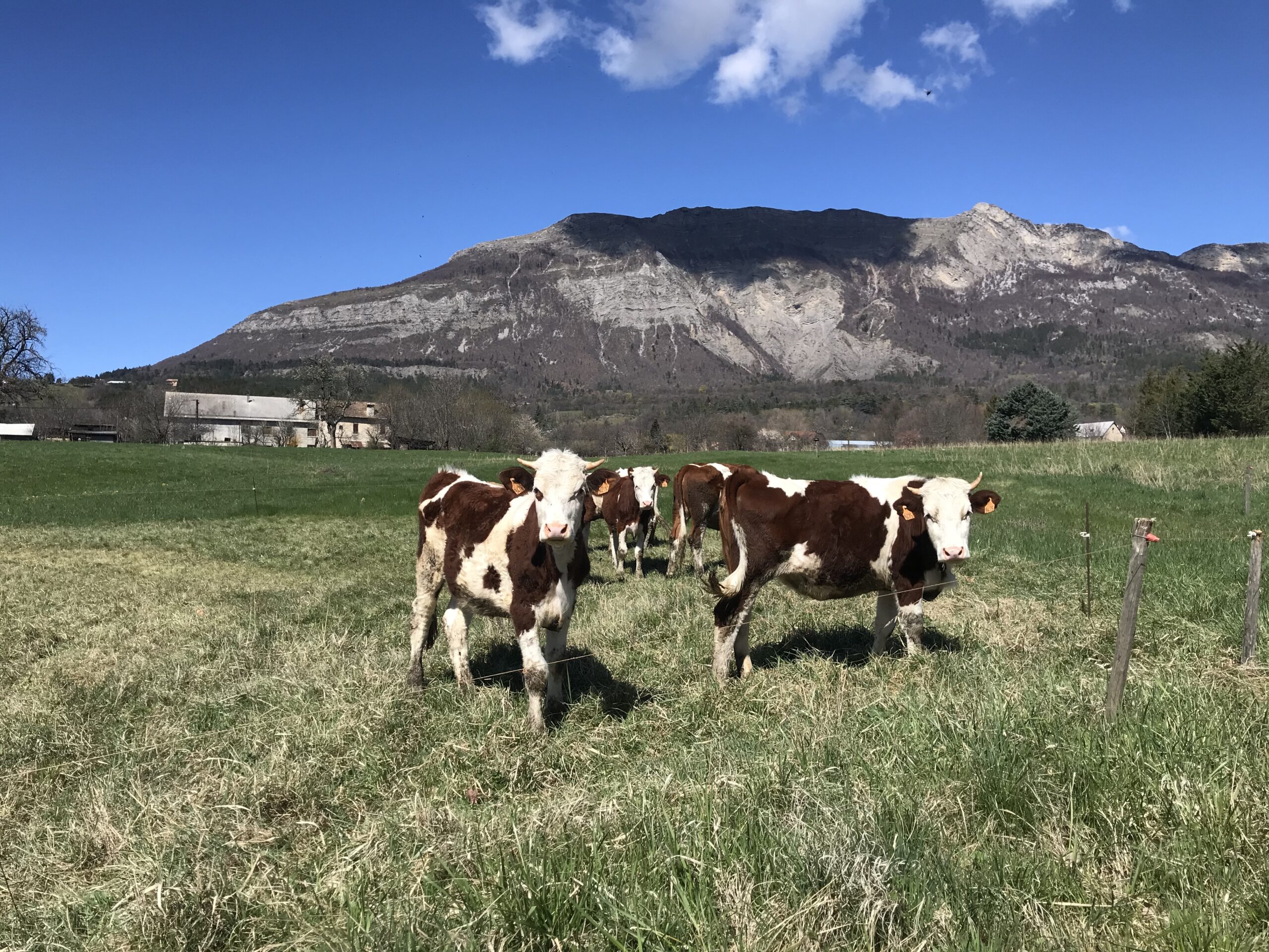 Ferme de l'hôpital, nouvelle propiété de la ville de Gap (3 04 2023)
